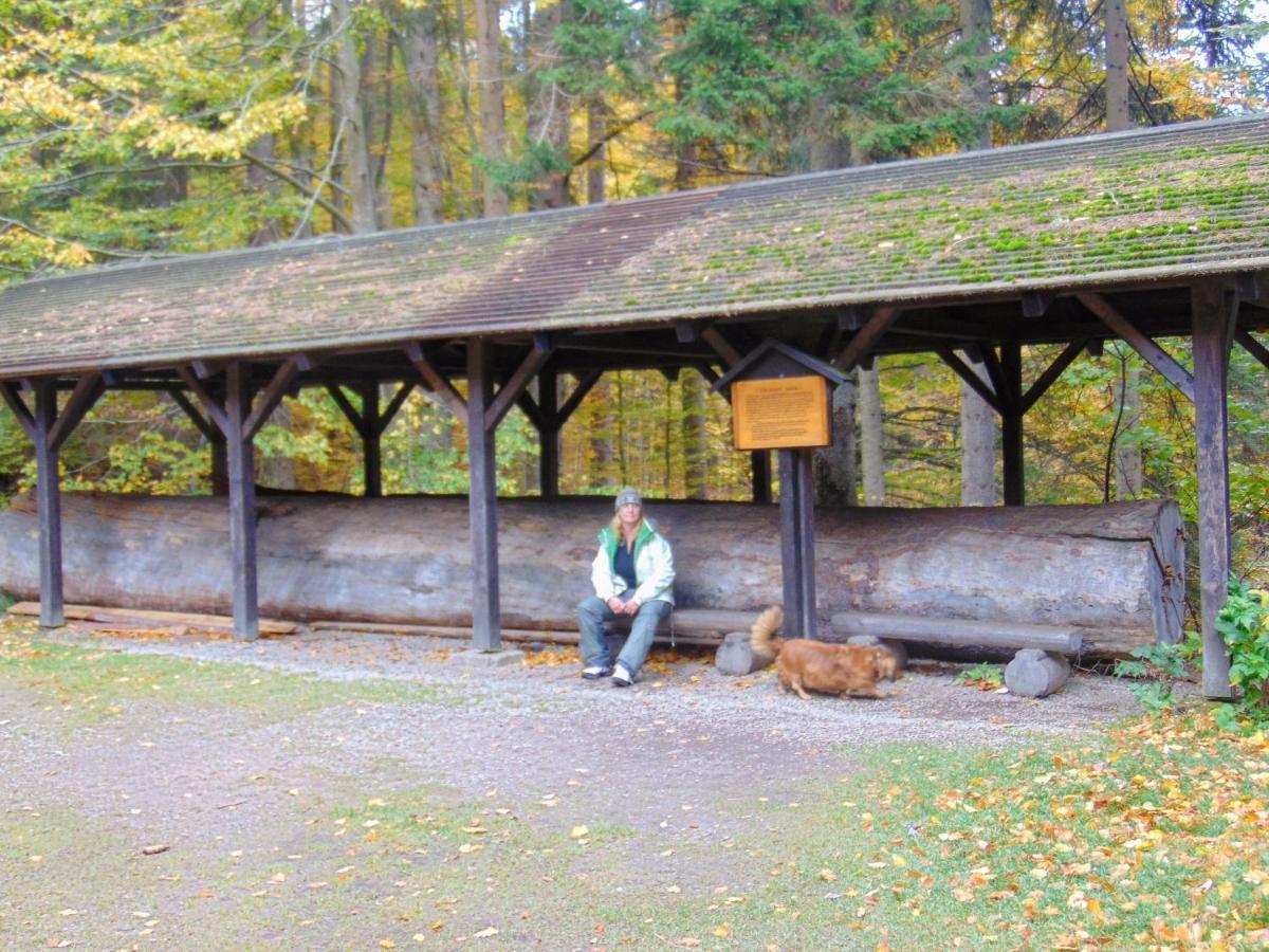 Retro Kemp Pod Boubinem Horní Vltavice Exterior foto
